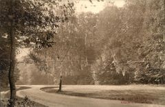 CPA Park of Saint Cloud Allee of the Large Sheaf