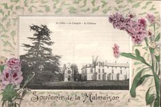 CPA Saint Cloud Le Cedre Le Chapelle Le Chateau