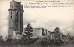 CPA Montlhery (s et O) La Tour de montlhery cote sud 