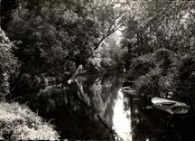 CPA Maisse Bords de l Essonne