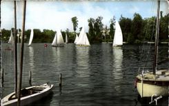 Bords de Seine - Les Voiliers - Sailboat - CPA 