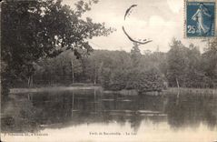 Foret de Bonnetable - Le Lac - CPA 