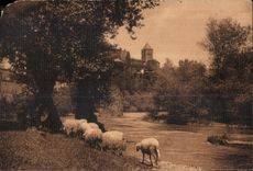 CPA Les Beaux Sites des Pyrenees Sauveterre de Bearn 