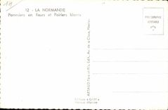 CPSM La Normandie Pommiers en fleurs et poiriers blancs Vaches 