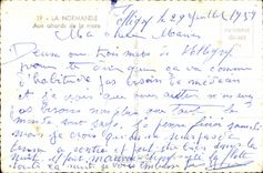 CPSM La Normandie Aux abords de la mare Vaches