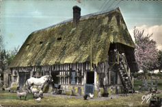 CPSM La Normandie Vieille Ferme