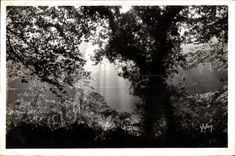 Huelgoat - Run light in the forest - CPSM