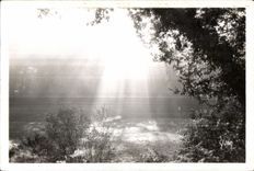 Huelgoat - Crossbred Fall in the forest - CPSM