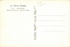 Huelgoat - Crossbred Fall in the forest - CPSM