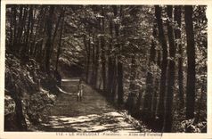 Huelgoat - Allee of the Violets - CPA