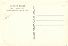 Huelgoat - Crossbred Fall - in the forest - CPA