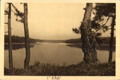 CPA Benodet (Finistere) Panorama on Odet