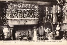 El castillo de CPA de Josselin la chimenea grande de la sala de estar fuera del granito empiedra llevar las armas de Roban y de Bretana el revelador 