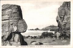 CPA Presqu ile de Quiberon Le Sphinx de Port Blanc