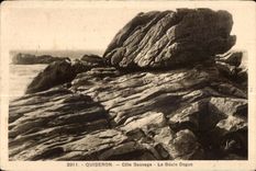 CPA Quiberon La Cote Sauvage La Boule Dogue