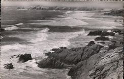 CPA Quiberon Saint Pierre Vue de la Plage de Port Blanc