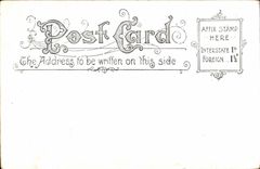 CPA Giant Tree House