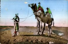 CPA Collection Artistque L Afrique Musicien