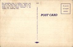 CPA has Southern Lousiana Rice Field Champ of rice