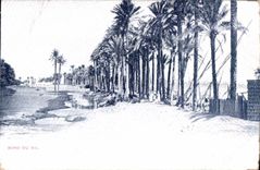 Borde de CPA Egipto Egipto del Nilo