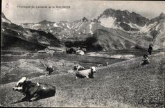 CPA Paturages du lautaret et le Galibier