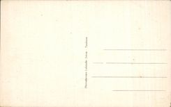 CPA the High Pyrenees Pau the Castle