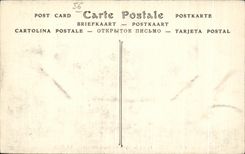 Castillo de CPA del detalle de Josselin del cuerpo del hogar interior