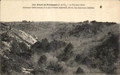 CPA forest of Paimpont the Valley without Immense return wooded Valley or the fairy Viviane enfermalt known as one them in love infidel