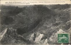 CPA forest of Paimpont the Valley without Immense return wooded and very broken Valley or the Fairy Viviane enfermalt known as one it