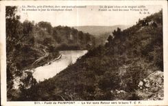 CPA forest of Paimpont the Valley without return towards the bench