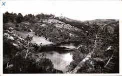 CPA Paimpont forest Of the Valley Without Return