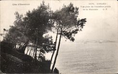 CPA Dinard Vue Prise de L extreme Pointe de la Malouine