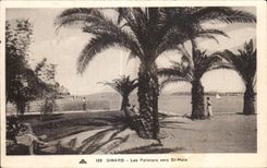 CPA Dinard Les Palmiers Vers St Malo