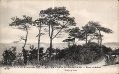 CPA Dinard La Vicomte En Etude d Arbres