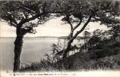 CPA Dinard Vue Vere Saiat Malo Prise de La Vicomte