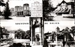 CPA Souvenir De Salies