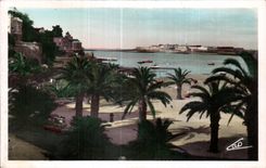 CPA Dinard La Palmeraie au fond Saint Malo