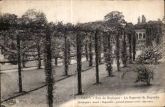 CPA Paris Bois de boulogne La Roseraie de Bagatelie