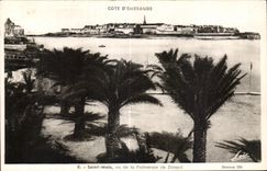 CPA Saint Malo Seen of the Palm plantation of Dinard