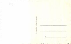 CPA the Dimension Batz Love