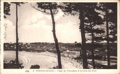 CPA Perros Guirec Plage de Trestraou a travers les Pins