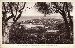 CPA Antibes Panorama vu a travers les Oliviers
