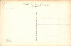 CPA Vichy Le Bridge Aristide Briand and View taken in the plane