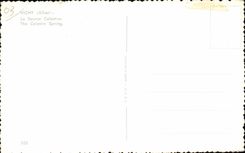 CPA Vichy Allier the Celestins Source