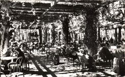 CPA Vichy Allier Les Pergolas