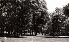 CPA Vichy Allier Un coin du Parc