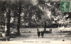 CPA Neris les Bains Allier Les Arenes