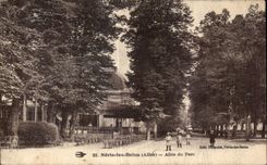 CPA Neris les Bains Allier Allee du Parc