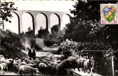 CPA Neris les Bains Allier Viaduc de Perassier Berger et ses moutons 