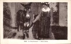CPA Le Bourbonnais deux Amis Ane Donkey Folklore Costume 